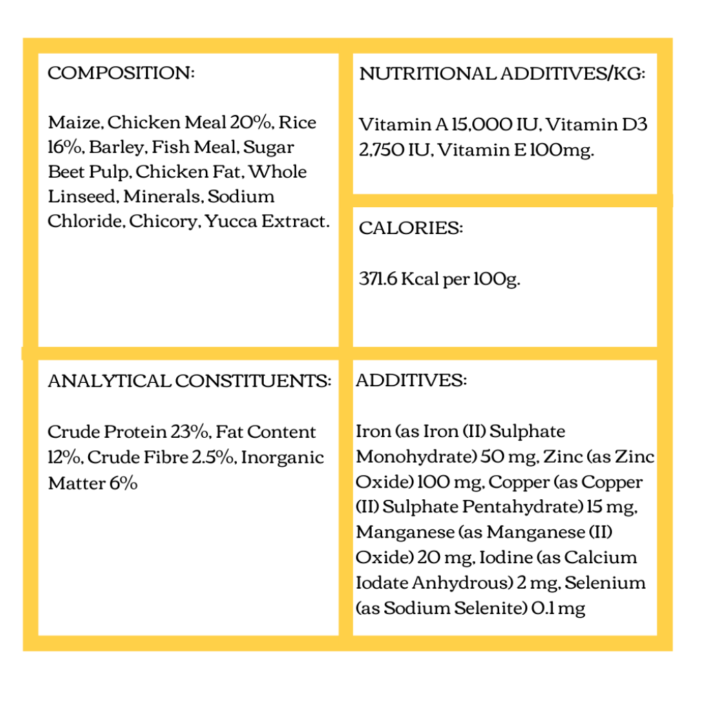 Premium Chicken & Rice Adult Dry Dog Food