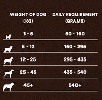 Country Pursuit Muesli Complete Adult Semi-Moist Dog Food 300g Sample