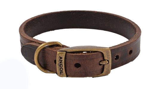 Dog Collar Heritage Leather