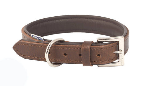 Dog Collar Vintage Padded Leather