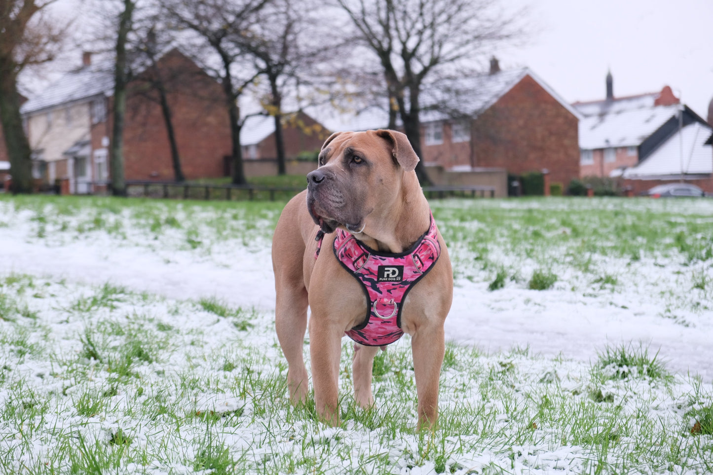 Comfort Harness Pink Camo