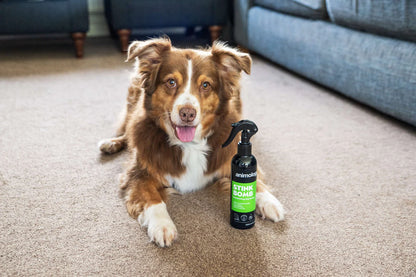 Stink Bomb Deodorising Dog Spray 250ml