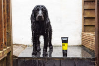 Fox Poo Dog Shampoo 250ml by Animology