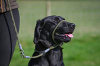 Sporting Saint Figure of 8 Lead — Rope Training Lead for Pulling Dogs