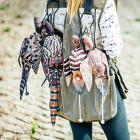 Hen Pheasant Dead Bird Dummy
