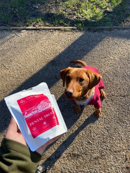 Turkey Dental Bites-Dog Treats