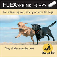 Flex SprinkleCaps