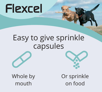 FlexCel CMO/Celadrin canine anti-inflammatory