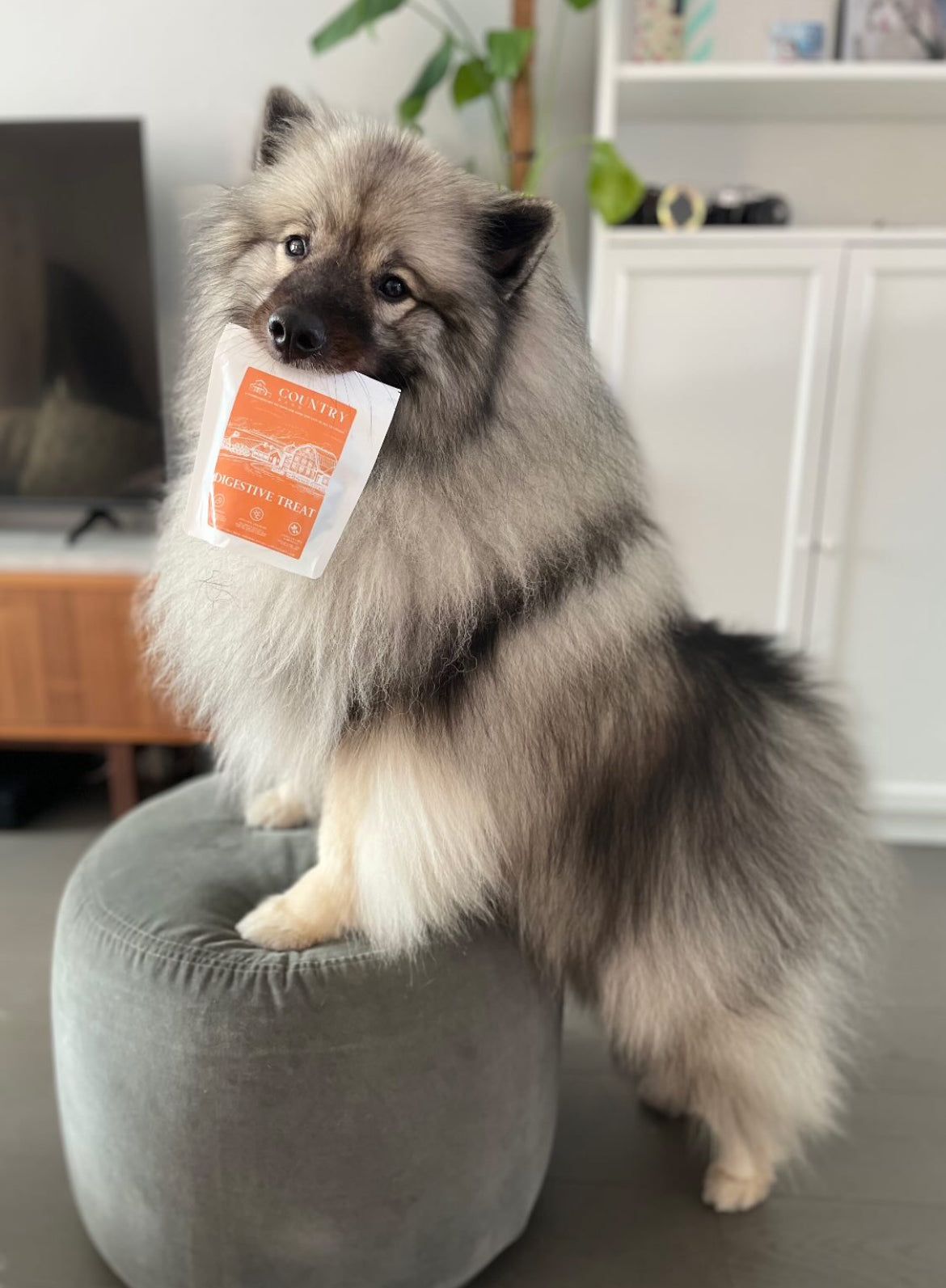 Digestive Meaty Duck-Dog Treat