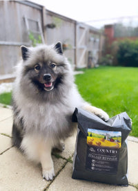 Italian Buffalo-Dry Dog Food