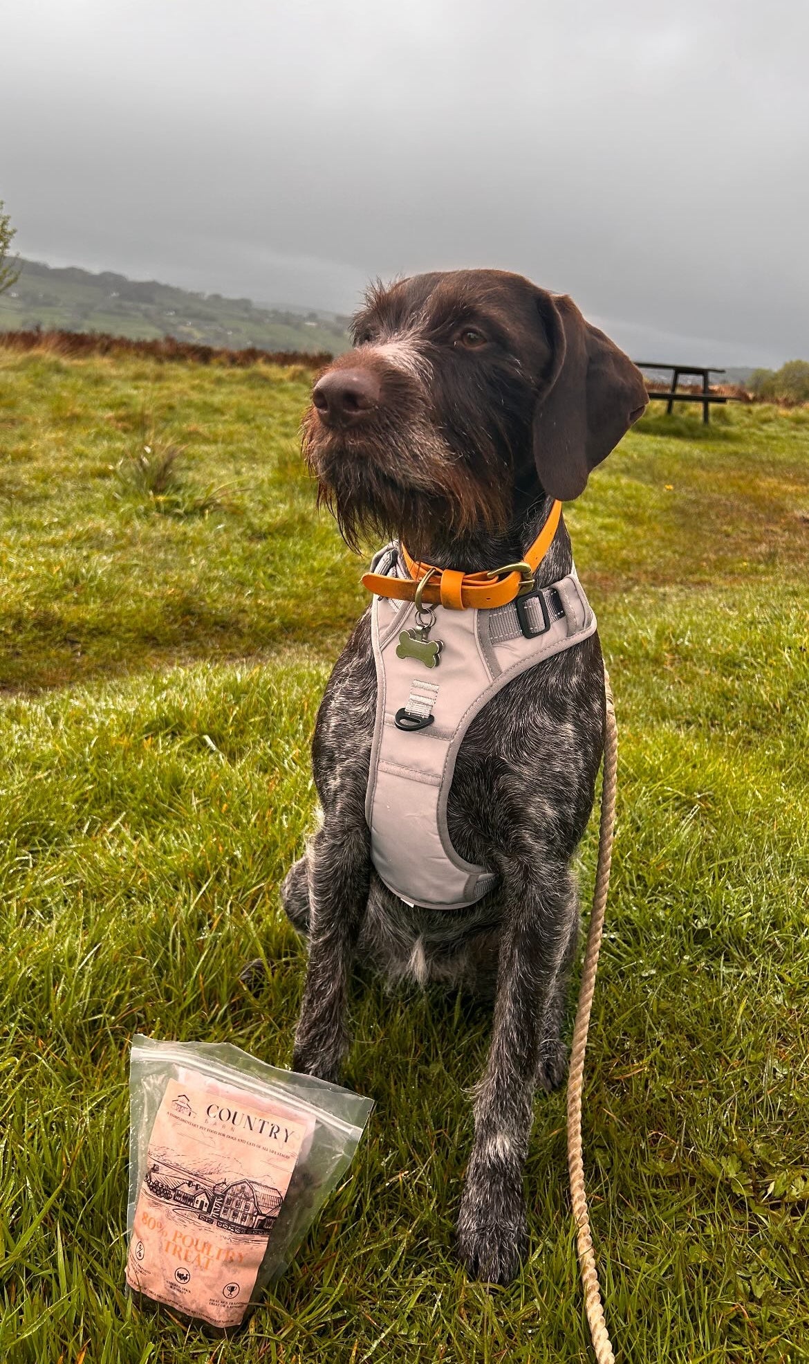 Chicken, Duck & Turkey-Dry Dog Food