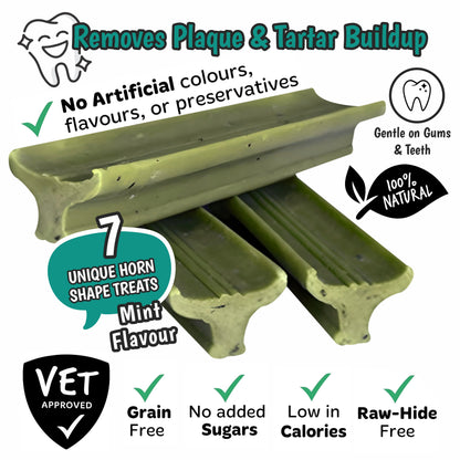 Gently Dently- Fresh Breath Mint Dental Treats for Dogs 175g