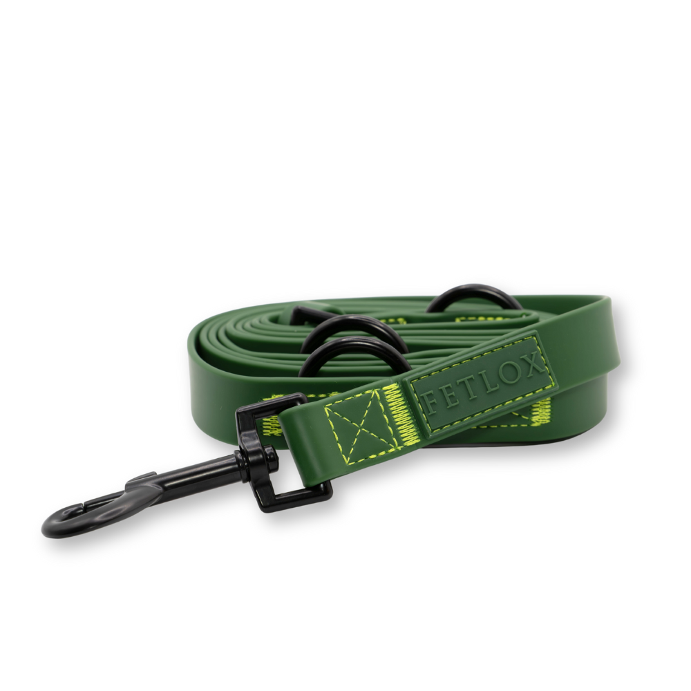 Rufus 3-in-1  Adjustable Dog Leash - Green