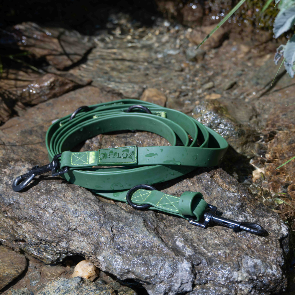 Rufus 3-in-1  Adjustable Dog Leash - Green