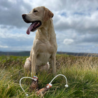 Grouse Dummy Ball