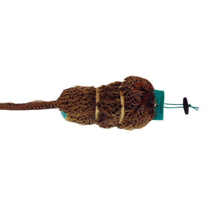 Pheasant Pelt Dummy | Cock OR Hen | Genuine Cured Pelt — Sporting Saint
