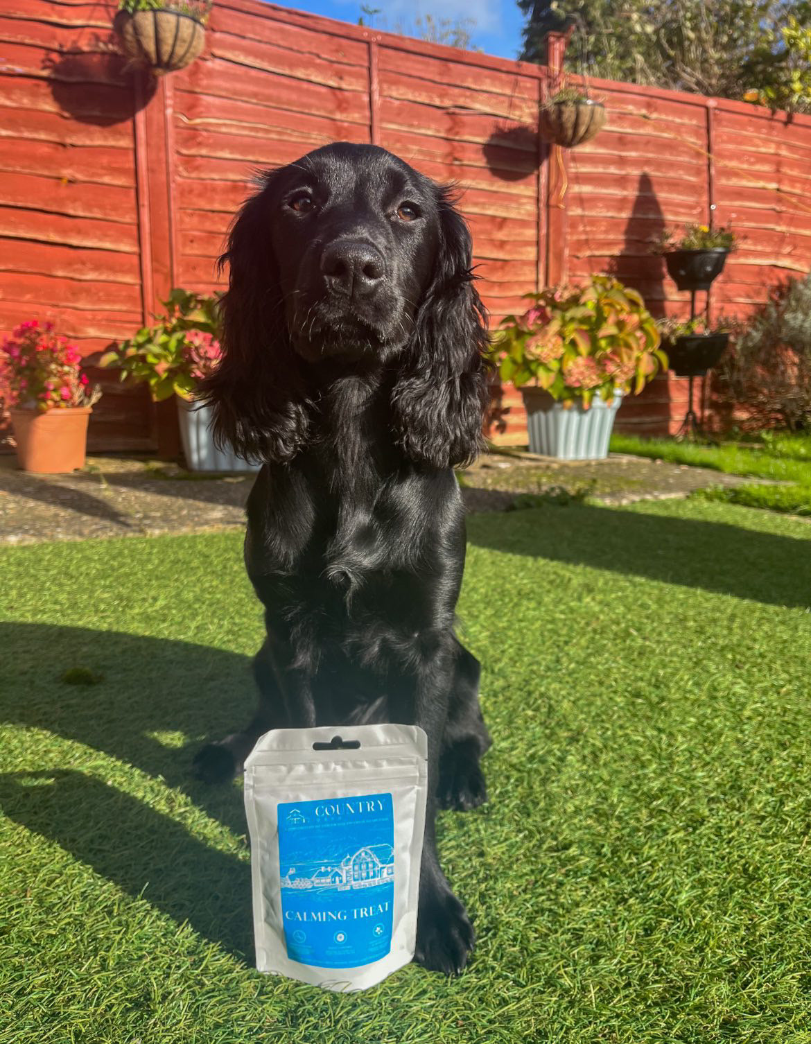 Calming - Duck & Lavender-Dog Treats