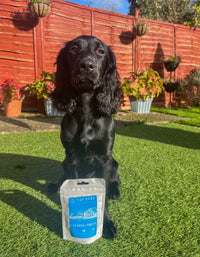 Calming - Duck & Lavender-Dog Treats
