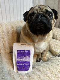Immune Boost Bites-Dog Treats