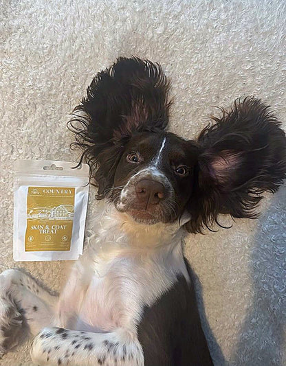 Skin & Coat Boost Chicken-Dog Treats