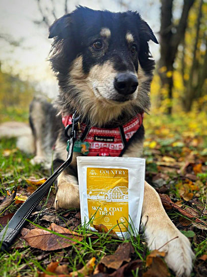 Skin & Coat Boost Chicken-Dog Treats