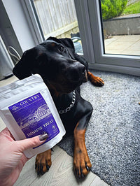 Immune Boost Bites-Dog Treats