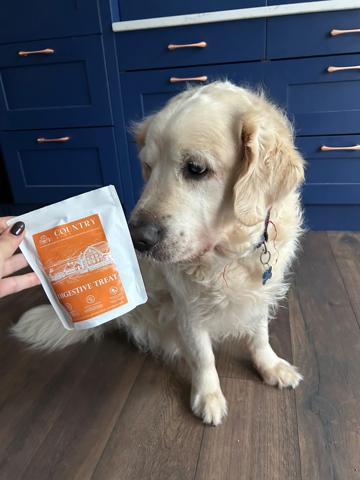 Digestive Meaty Duck-Dog Treat