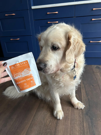 Digestive Meaty Duck-Dog Treat