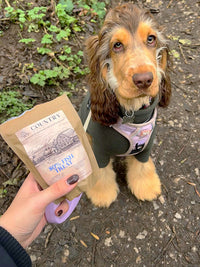 Salmon, Trout & White Fish-Dog Treat