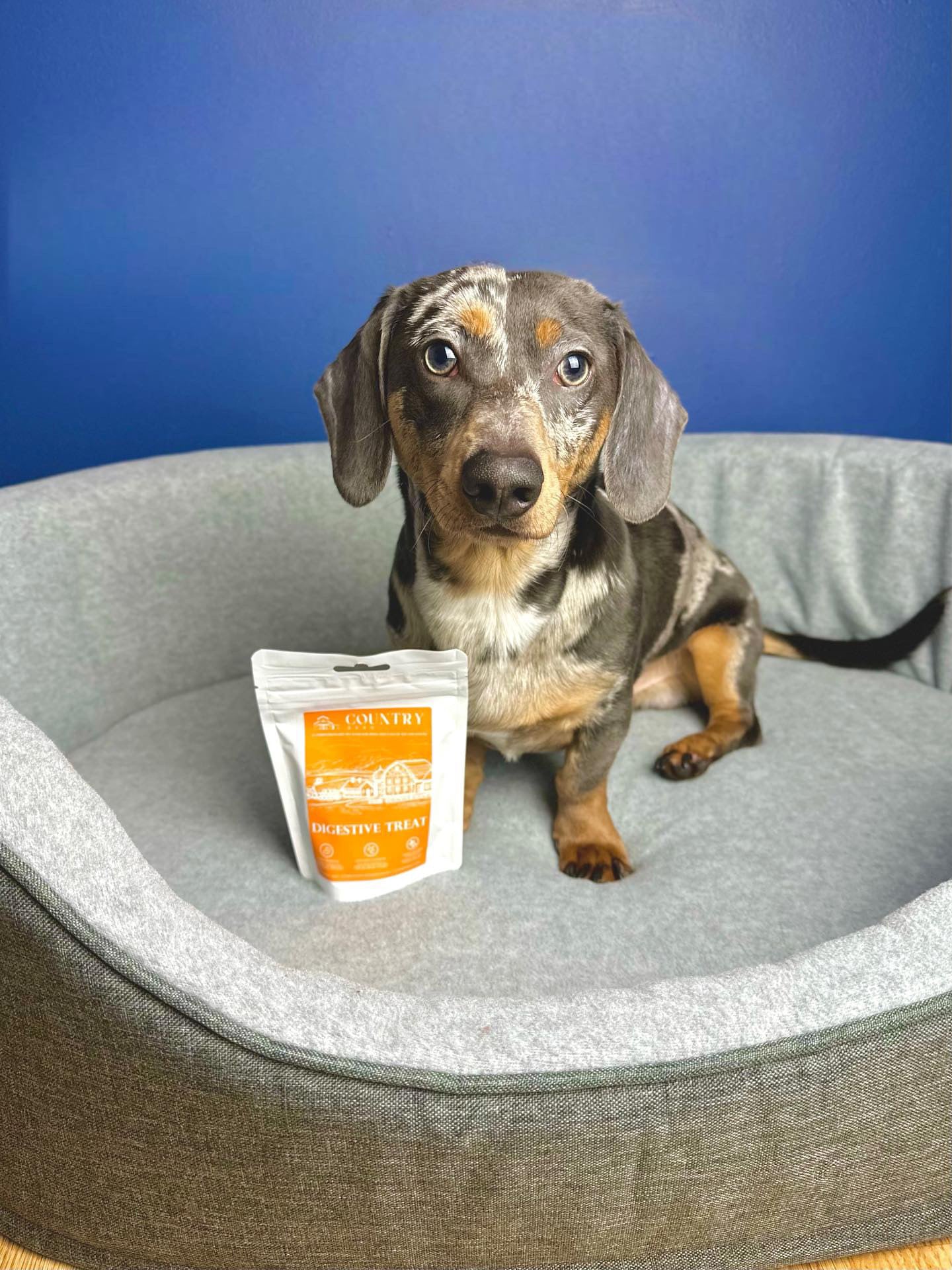 Digestive Meaty Duck-Dog Treat