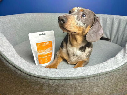 Digestive Meaty Duck-Dog Treat