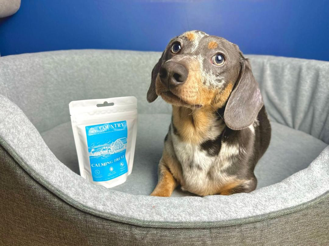 Calming - Duck & Lavender-Dog Treats