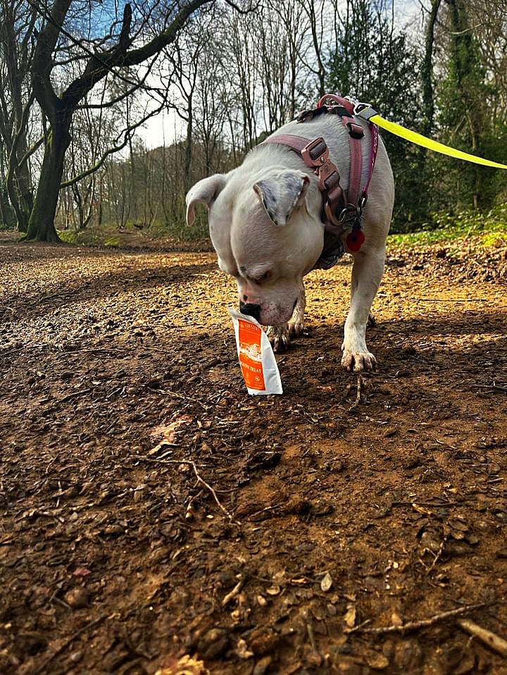 Digestive Meaty Duck-Dog Treat