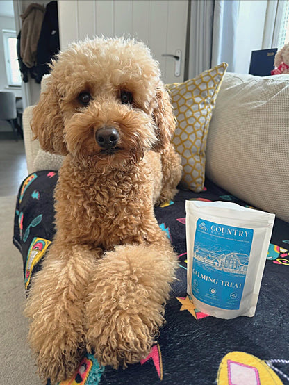 Calming - Duck & Lavender-Dog Treats