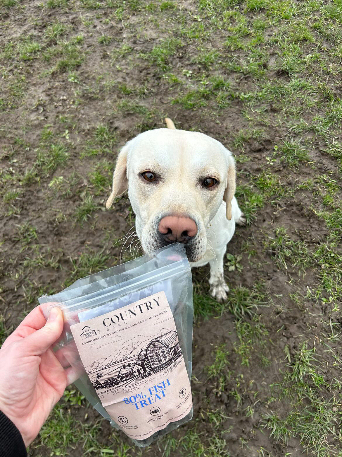 Salmon, Trout & White Fish-Dog Treat