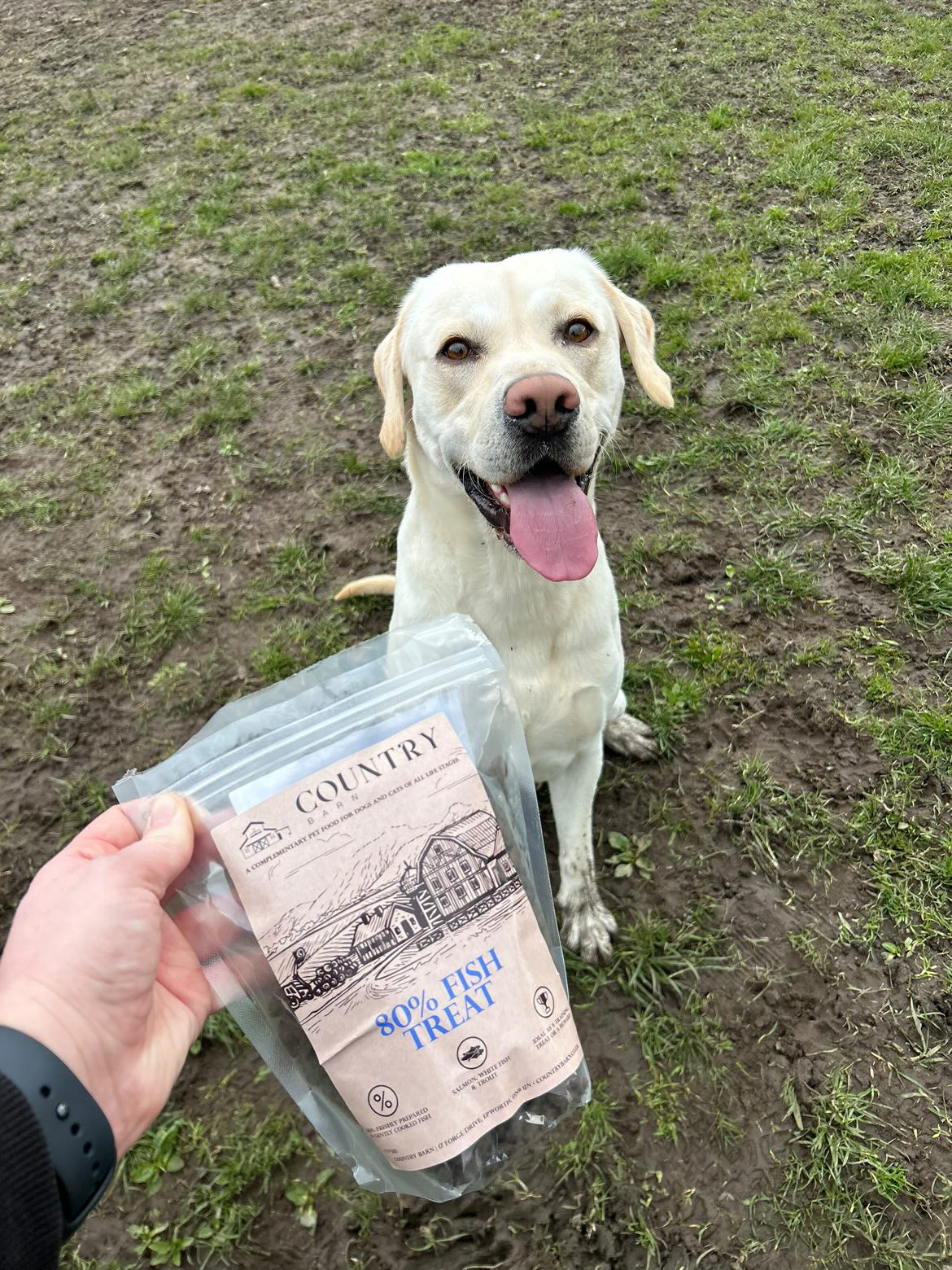 Salmon, Trout & White Fish-Dog Treat
