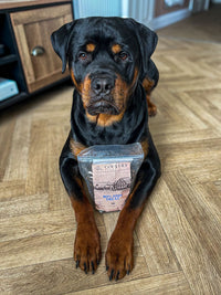 Salmon, Trout & White Fish-Dog Treat
