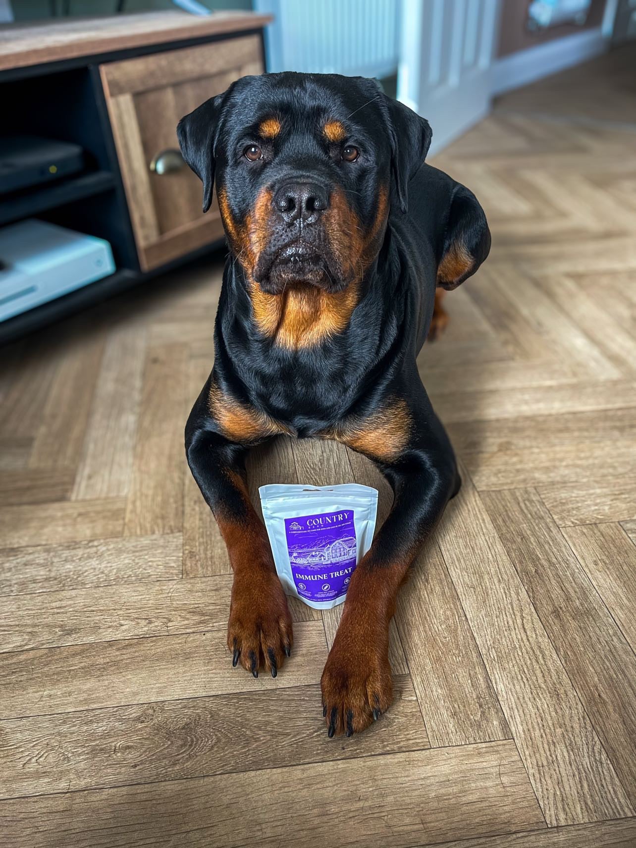 Immune Boost Bites-Dog Treats