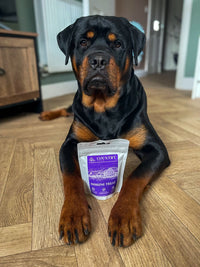Immune Boost Bites-Dog Treats