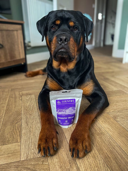 Immune Boost Bites-Dog Treats