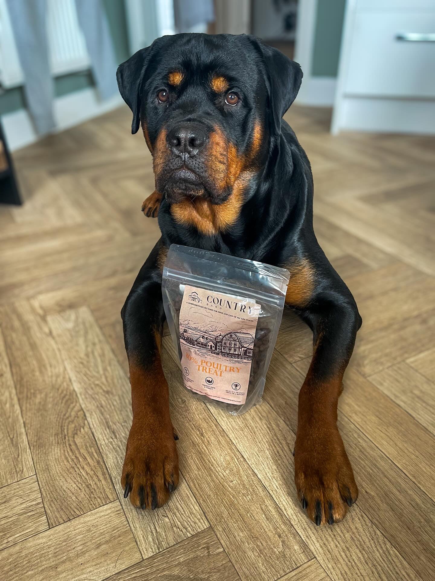 Chicken, Duck & Turkey-Dry Dog Food