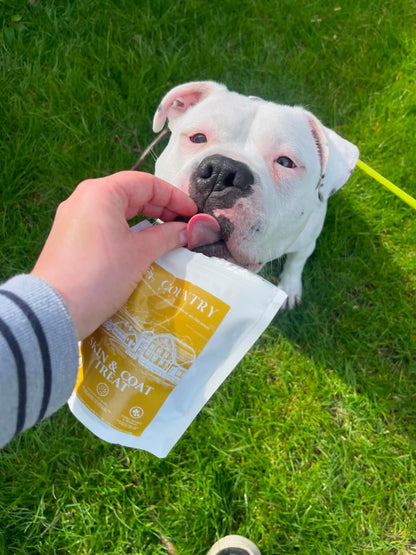 Skin & Coat Boost Chicken-Dog Treats