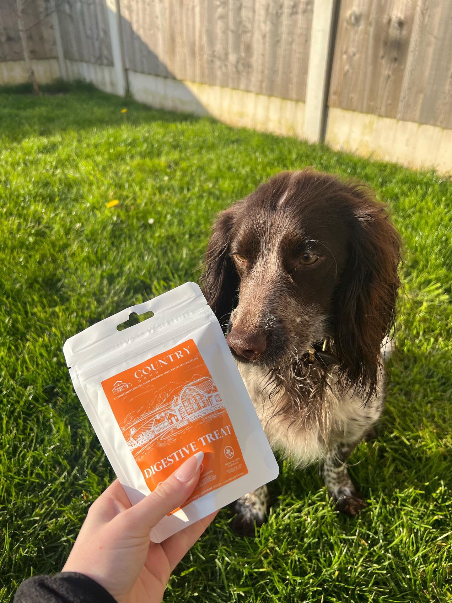 Digestive Meaty Duck-Dog Treat