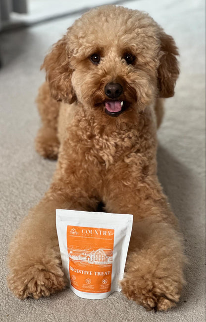 Digestive Meaty Duck-Dog Treat