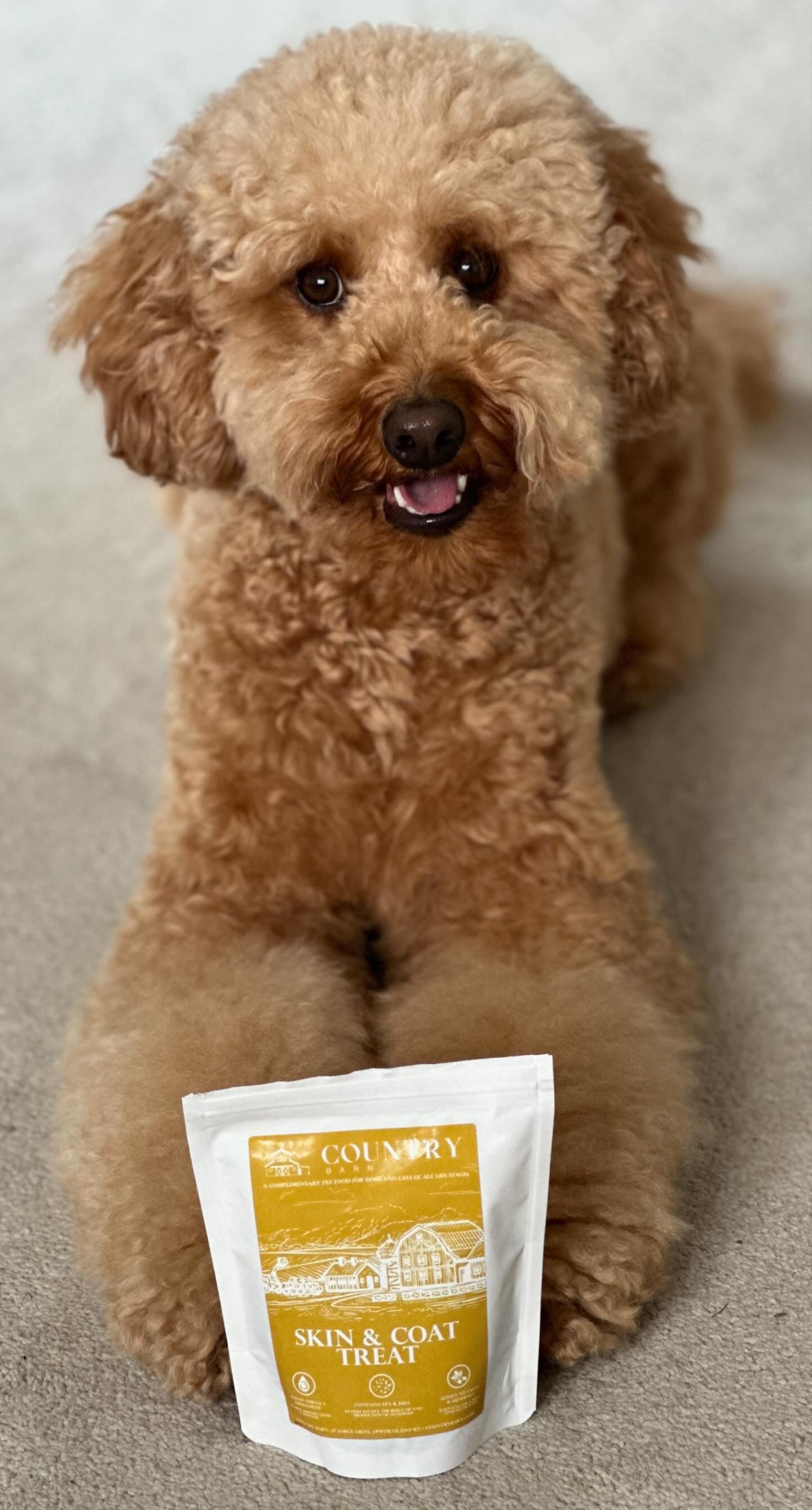 Skin & Coat Boost Chicken-Dog Treats