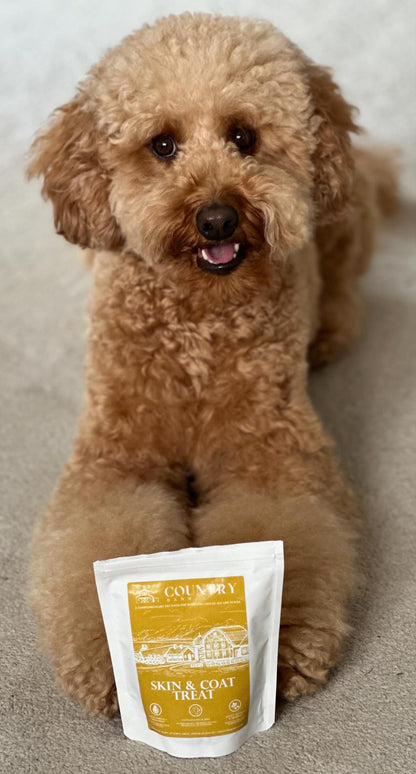 Skin & Coat Boost Chicken-Dog Treats