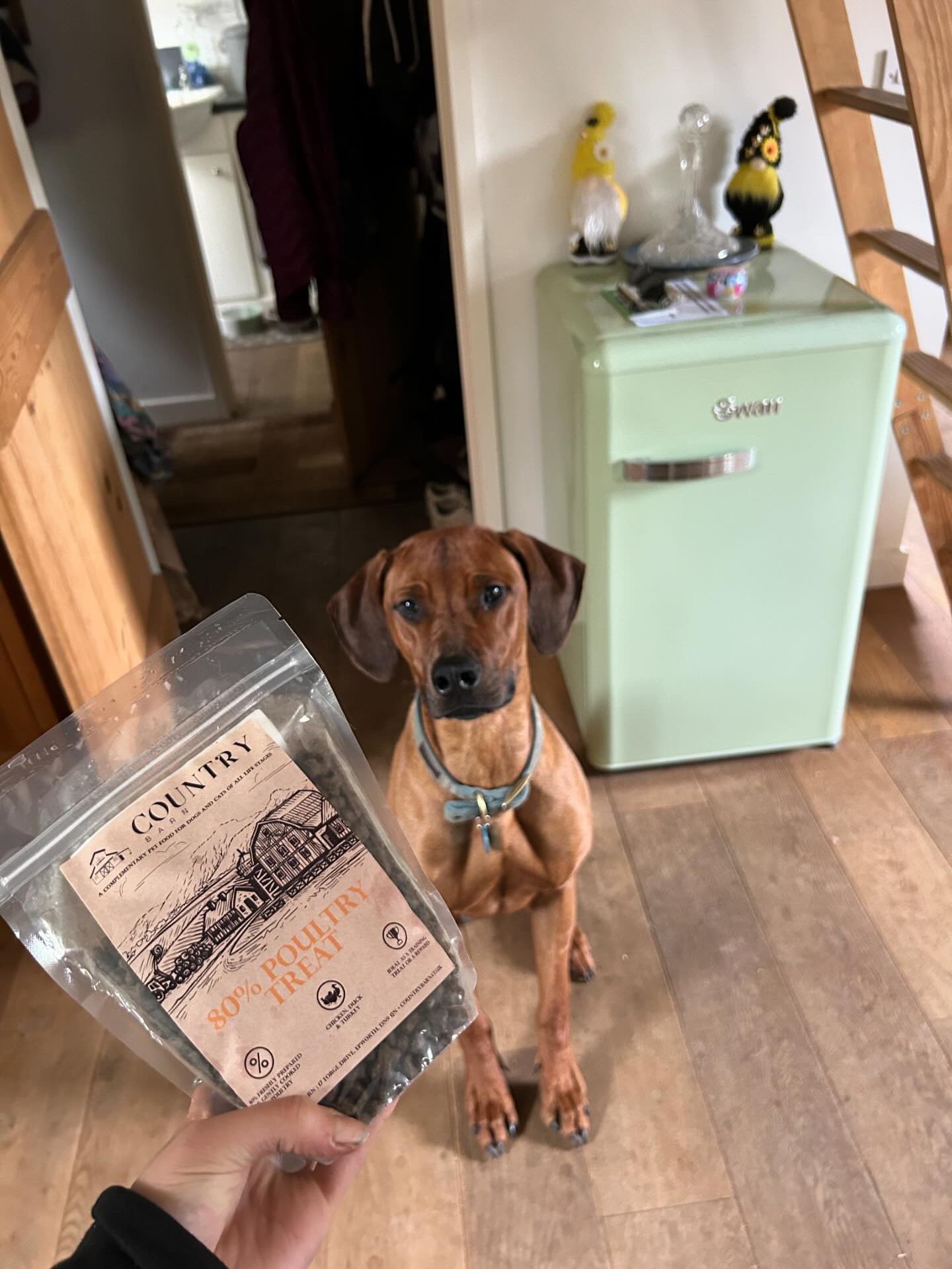 Chicken, Duck & Turkey-Dry Dog Food