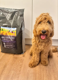 Puppy - Turkey & Pork-Dry Dog Food