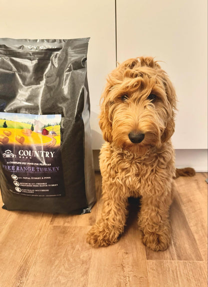 Puppy - Turkey & Pork-Dry Dog Food
