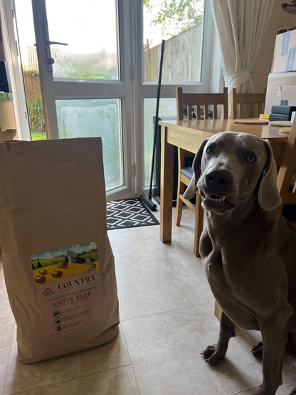 Angus Beef & Carrot-Dry Dog Food